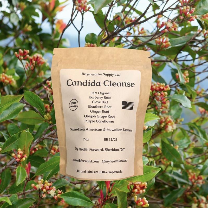Candida Cleanse Organic Herbal Tea Blend