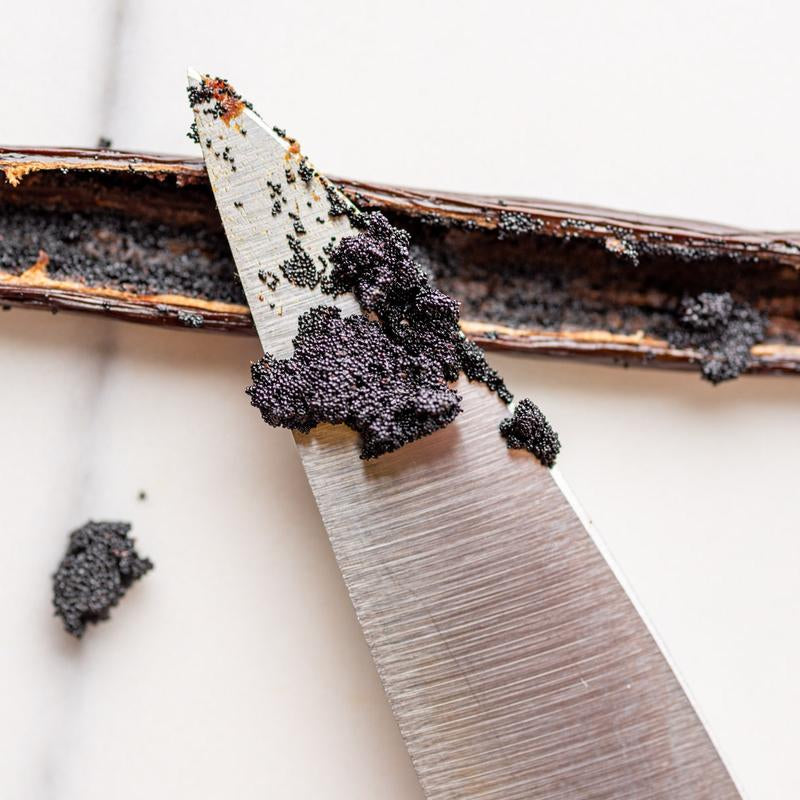 Slofoodgroup Madagascar Vanilla Beans, Gourmet Vanilla Spice for Cooking, Baking, Vanilla Extract and Flavor